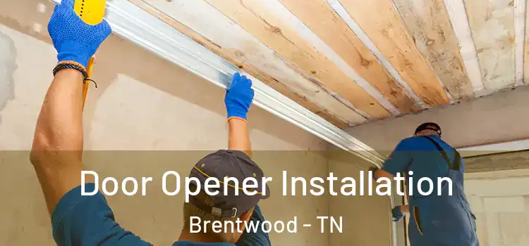  Door Opener Installation Brentwood - TN