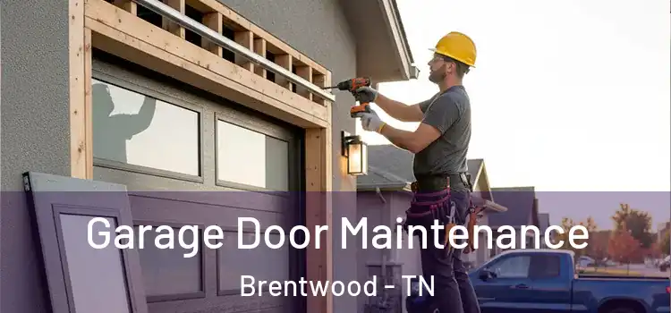  Garage Door Maintenance Brentwood - TN