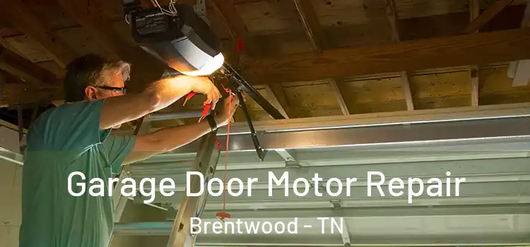  Garage Door Motor Repair Brentwood - TN