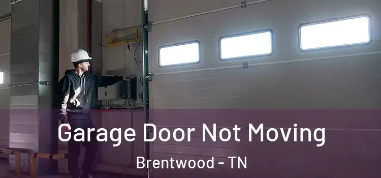  Garage Door Not Moving Brentwood - TN