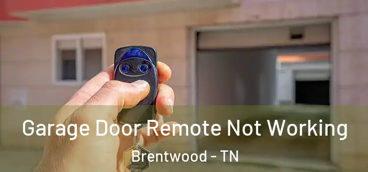  Garage Door Remote Not Working Brentwood - TN