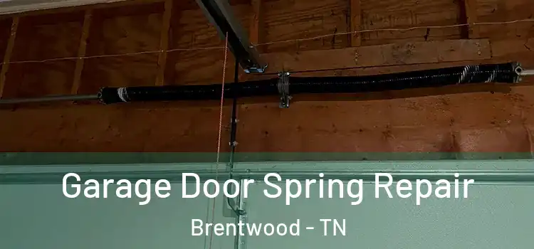  Garage Door Spring Repair Brentwood - TN