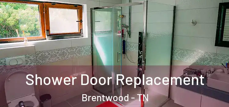  Shower Door Replacement Brentwood - TN