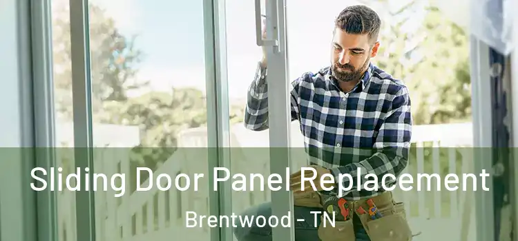  Sliding Door Panel Replacement Brentwood - TN